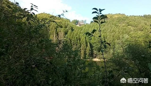 癌症晚期是独自离家出走留一份遗书不拖累家人,还是跟家人度过最后的日子?