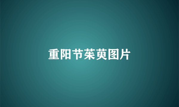 重阳节茱萸图片