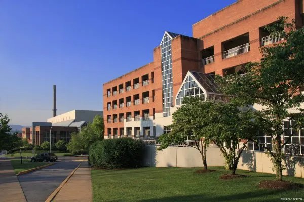 新西兰西方理工学院的学士后文凭课程,学制为1年,那该课程怎样?