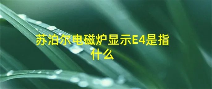 苏泊尔电磁炉显示E4是指什么