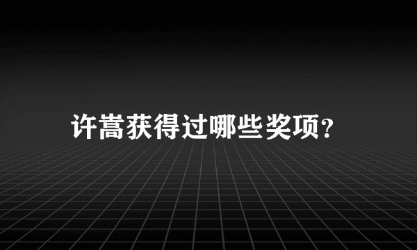 许嵩获得过哪些奖项？