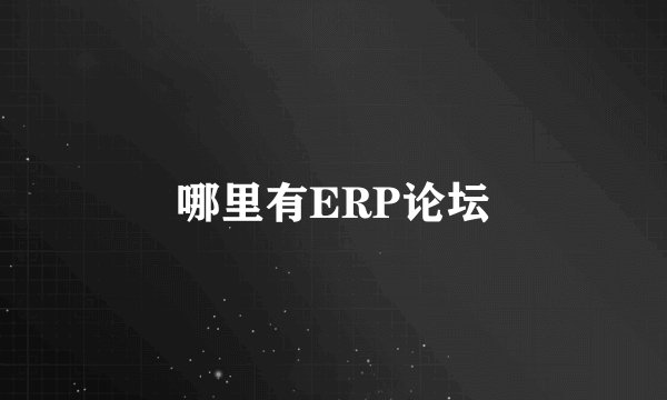 哪里有ERP论坛