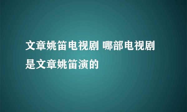 文章姚笛电视剧 哪部电视剧是文章姚笛演的