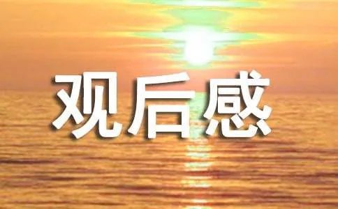 绽放观后感