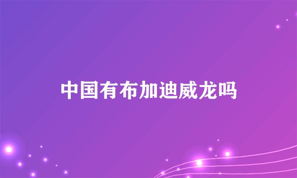 中国有布加迪威龙吗