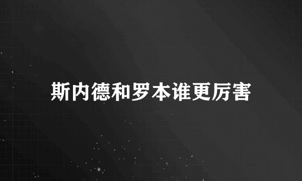 斯内德和罗本谁更厉害