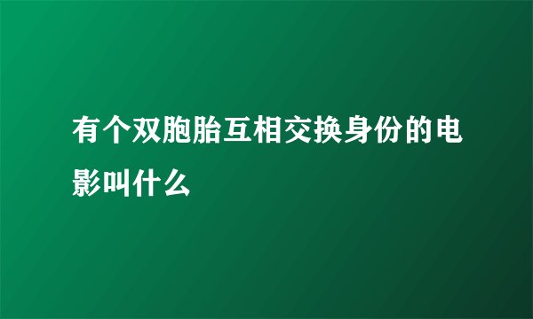 有个双胞胎互相交换身份的电影叫什么