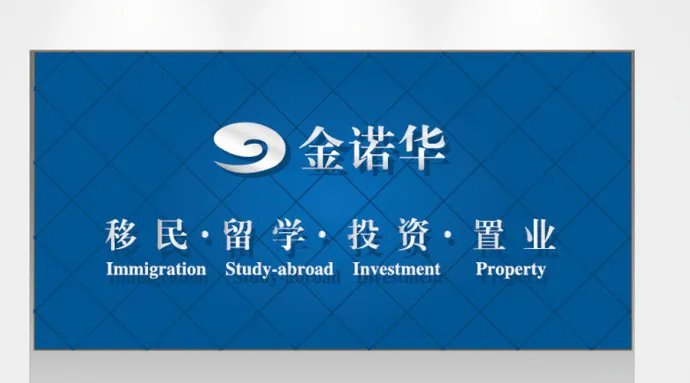 金诺华的介绍