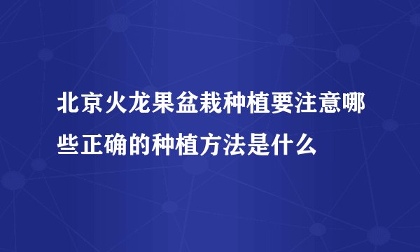 北京火龙果盆栽种植要注意哪些正确的种植方法是什么