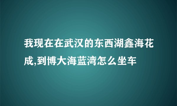 我现在在武汉的东西湖鑫海花成,到博大海蓝湾怎么坐车