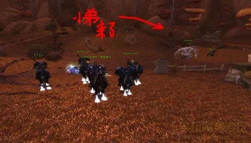 魔兽世界的“黎明之光”任务怎么做?