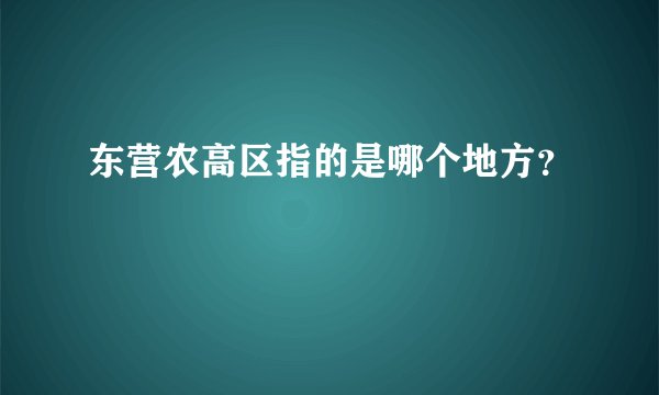 东营农高区指的是哪个地方?