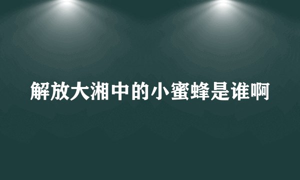 解放大湘中的小蜜蜂是谁啊