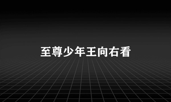 至尊少年王向右看