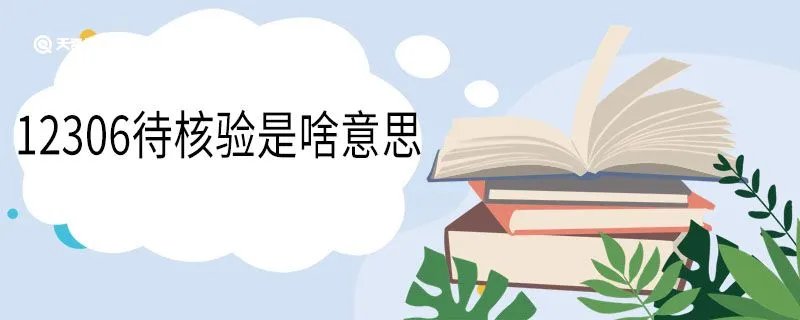12306待核验是啥意思