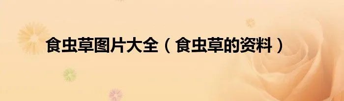 食虫草图片大全(食虫草的资料)