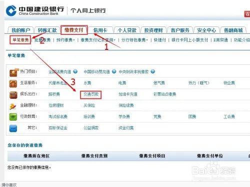 网上如何查询交通违章并交罚款?(深圳)