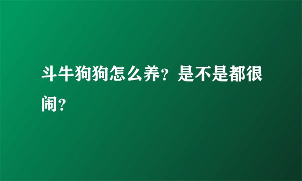 斗牛狗狗怎么养？是不是都很闹？