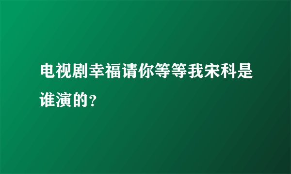 电视剧幸福请你等等我宋科是谁演的?