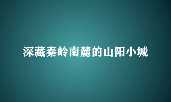 深藏秦岭南麓的山阳小城