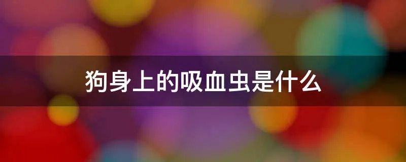 狗身上的吸血虫是什么