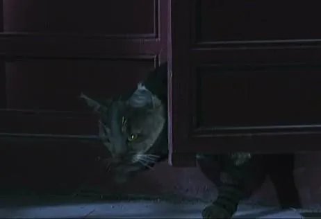 甄嬛传里有哪些穿帮镜头?