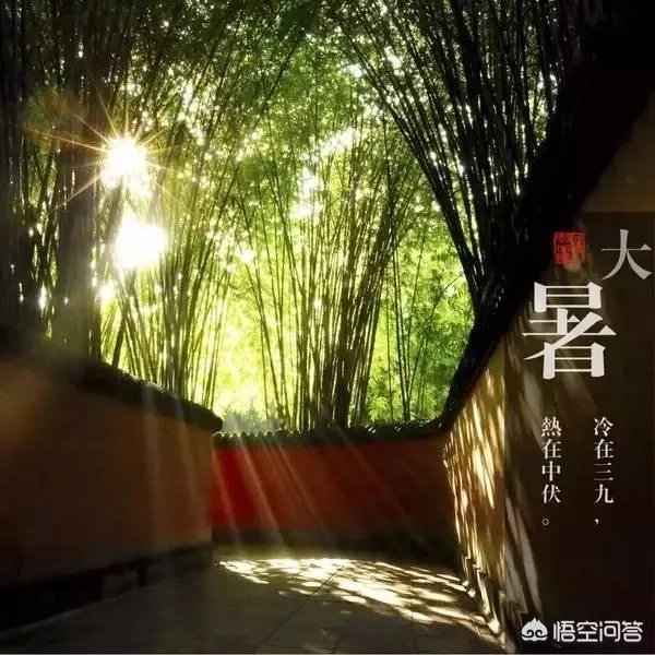 大暑本意