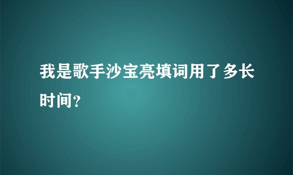 我是歌手沙宝亮填词用了多长时间？