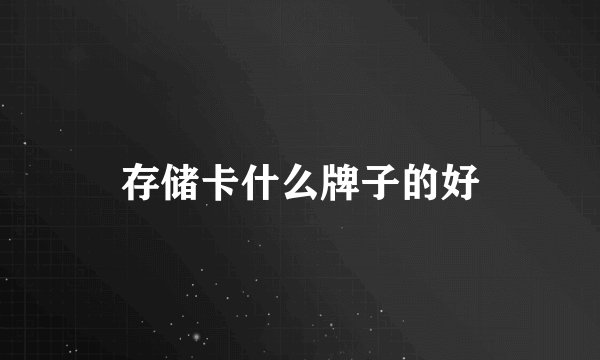 存储卡什么牌子的好
