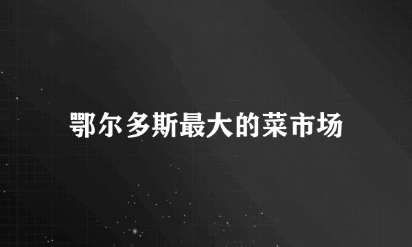 鄂尔多斯最大的菜市场