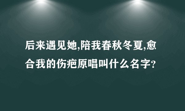 后来遇见她,陪我春秋冬夏,愈合我的伤疤原唱叫什么名字?