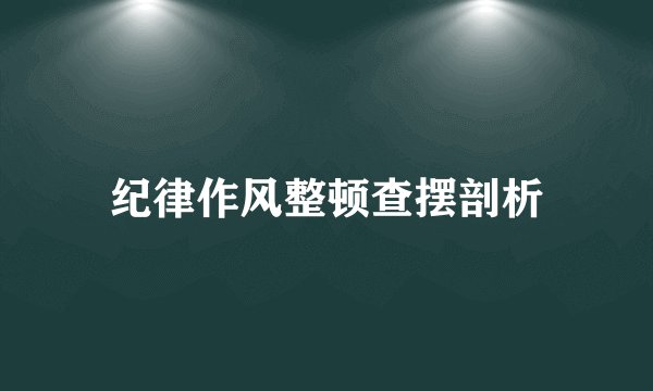 纪律作风整顿查摆剖析