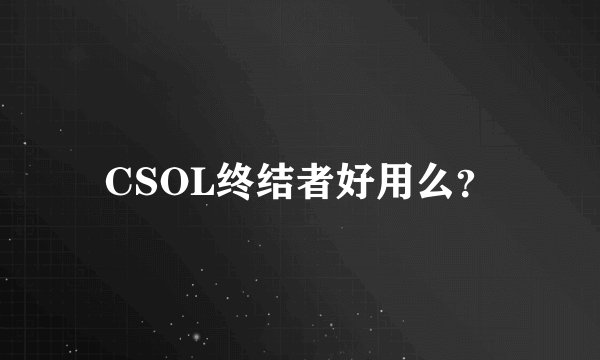 CSOL终结者好用么？