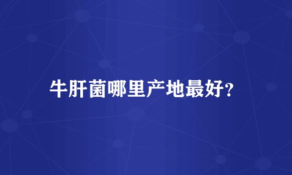 牛肝菌哪里产地最好？