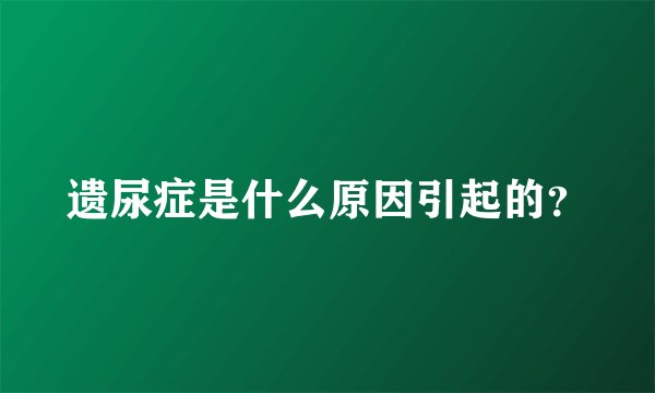 遗尿症是什么原因引起的？