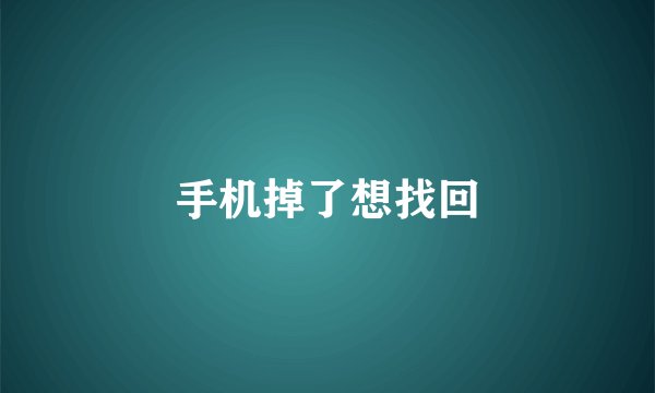 手机掉了想找回
