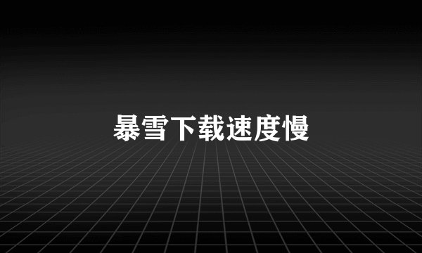 暴雪下载速度慢