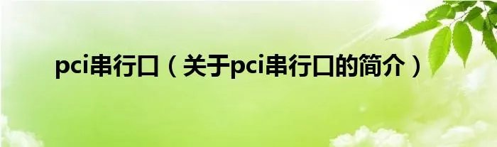 pci串行口（关于pci串行口的简介）