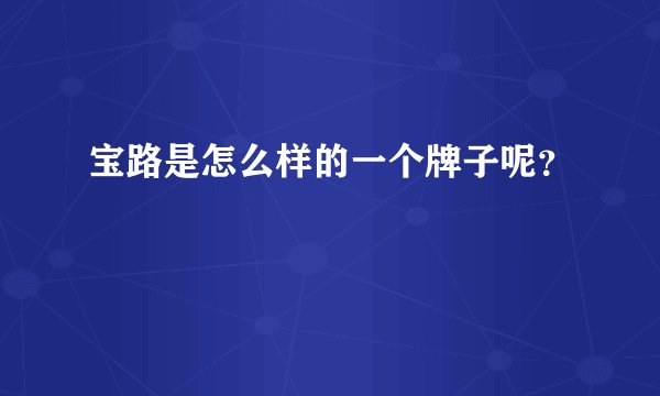 宝路是怎么样的一个牌子呢？