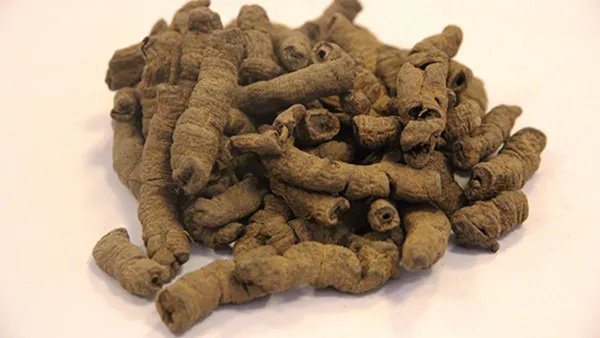 巴戟天的功效与作用及食用方法有哪些