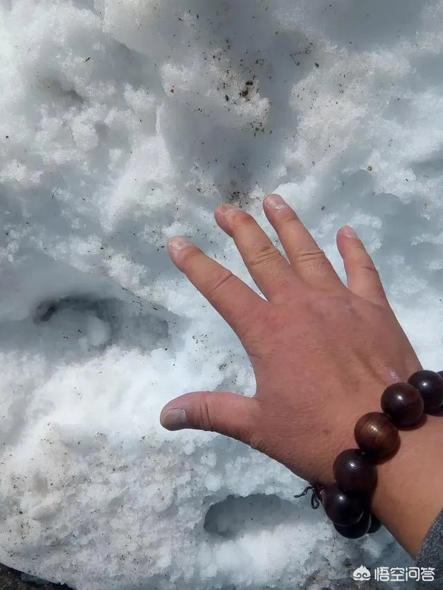 癌症晚期是独自离家出走留一份遗书不拖累家人,还是跟家人度过最后的日子?
