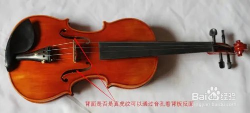 如何选购小提琴?初学者怎样选择小提琴?