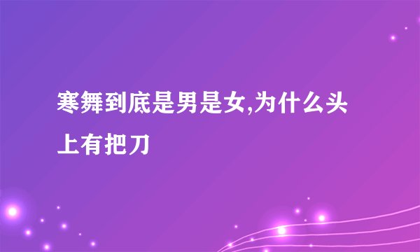 寒舞到底是男是女,为什么头上有把刀