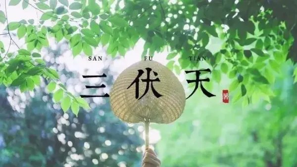 末伏几月几号2022年