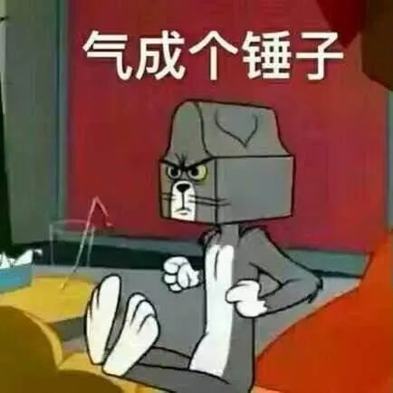 萨摩耶太蠢了