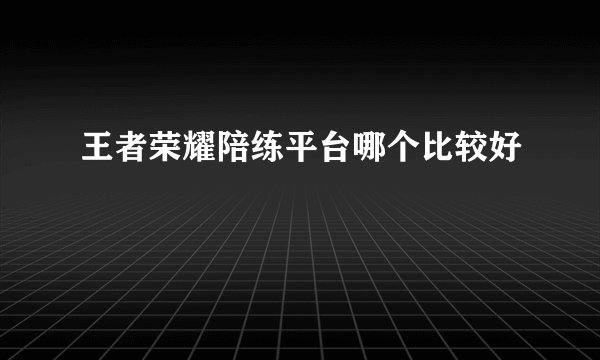 王者荣耀陪练平台哪个比较好