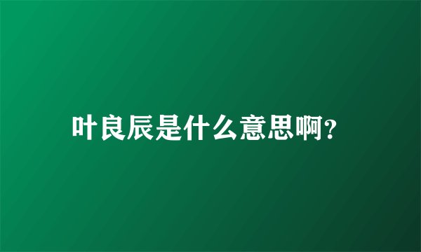 叶良辰是什么意思啊？