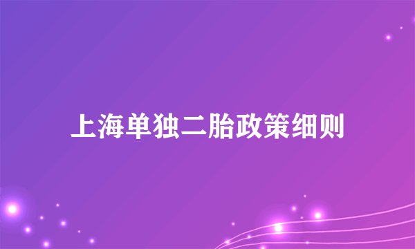 上海单独二胎政策细则