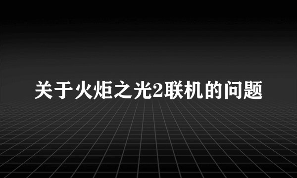 关于火炬之光2联机的问题