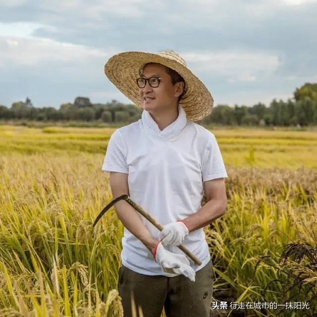 周杰“被封杀”的幕后真相是强吻林心如吗?还是另有原因?